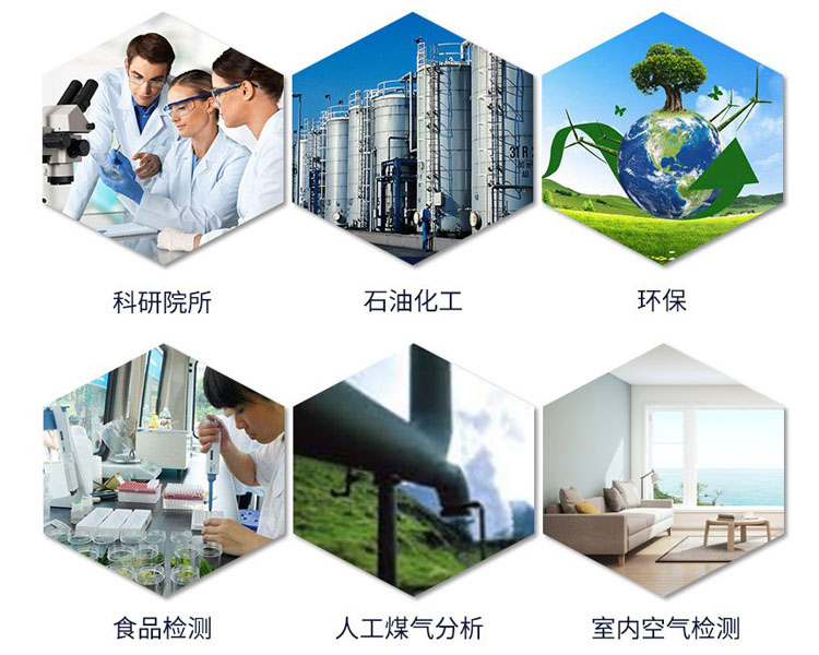 氣相色譜儀應用領域 氣相色譜儀應用領域