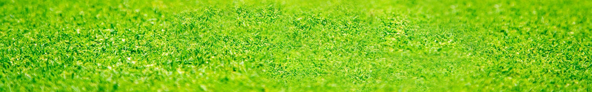 餐飲油煙環境監測專題