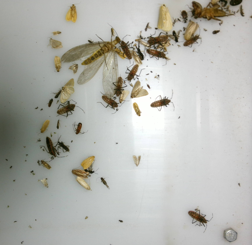 田間環(huán)境監(jiān)測(cè)系統(tǒng)設(shè)備 農(nóng)田蟲情監(jiān)測(cè)系統(tǒng) 無(wú)線墑情監(jiān)測(cè)站