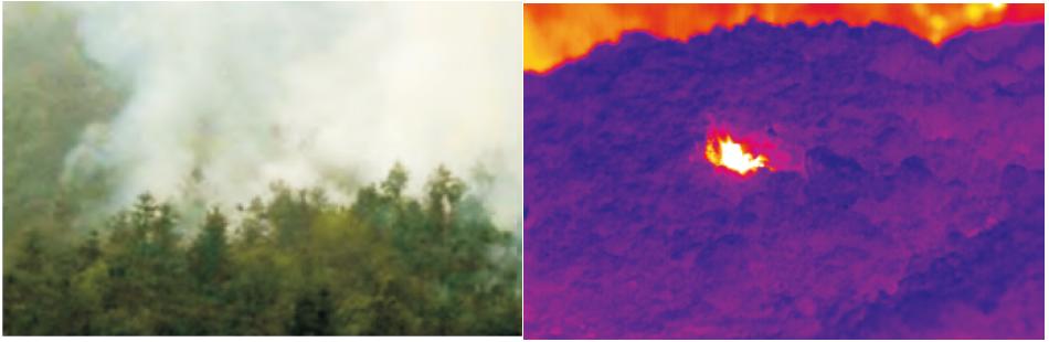 森林火險預(yù)警系統(tǒng)產(chǎn)品方案