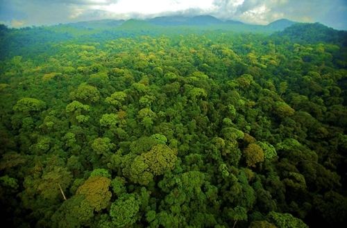 守護(hù)“地球之腎”：濕地公園生態(tài)保護(hù)的系統(tǒng)實(shí)踐與價(jià)值重構(gòu)