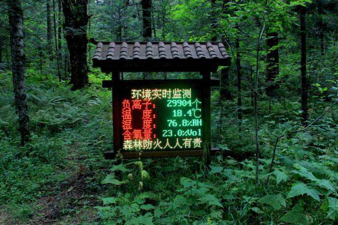 智能濕地公園環境監測系統設備-全方位保護環境